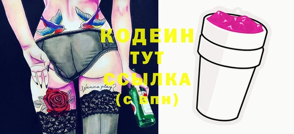 Альфа ПВП Лагань