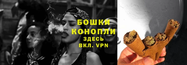 Альфа ПВП Лагань