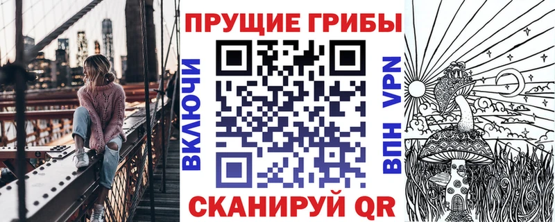 дарнет шоп  Чадан  мега маркетплейс  Псилоцибиновые грибы Psilocybe 